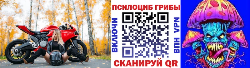 Псилоцибиновые грибы Psilocybe Темрюк