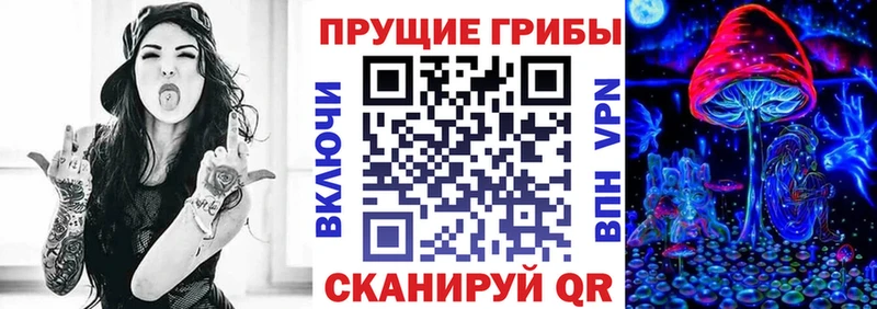 закладка  это телеграм  Псилоцибиновые грибы ЛСД  Темрюк 